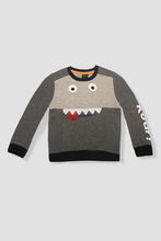 Load image into Gallery viewer, junior-8