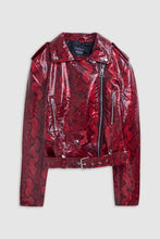 Load image into Gallery viewer, women -1